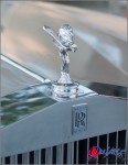 1986 Rolls Royce Camiche ll