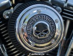 Harley Davidson-Fenelon Falls